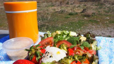 シャスタシティの春☆お散歩通勤のお弁当♪［読者投稿記事］