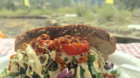 大自然で野生の鹿さんと☆フレッシュサンドイッチ［読者投稿記事］