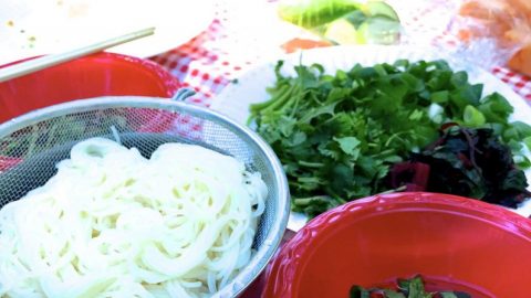 湧き水でサラダそうめんピクニック！［読者投稿記事］