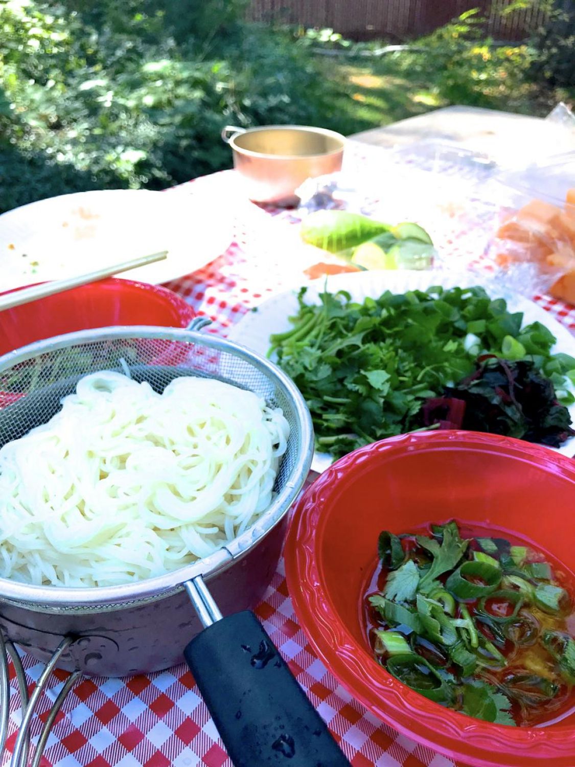 湧き水でサラダそうめんピクニック！［読者投稿記事］