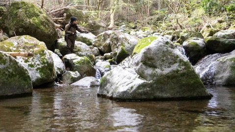 人気YouTuberかほなんが渓流の女王＝アマゴを釣る！