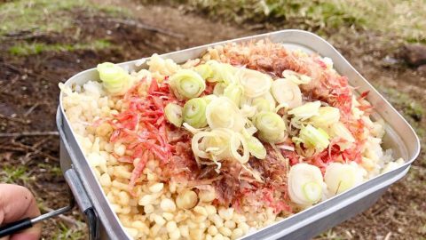 日比野鮎美のぽんかす丼を再現［読者投稿記事］