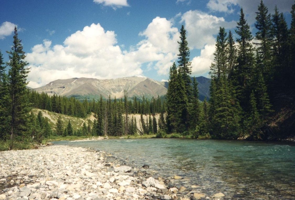 カナダBanff国立公園でのTrail Rideガイド体験: その3［読者投稿記事］
