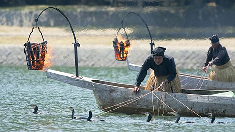 山口県の夏の風物詩を独占貸切！１日８組限定の「プライベートう飼遊覧」が解禁