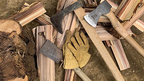 焚き火のための「薪割り」をしよう！倒木の再利用プロジェクト、始動！