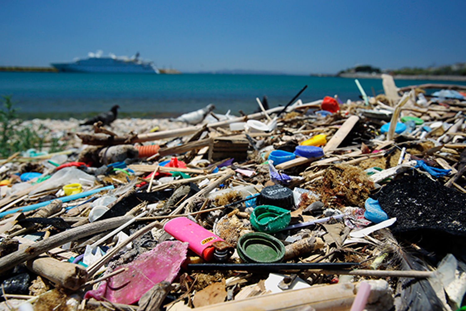 プラスチックが海を殺す 近い将来 海中のプラごみが魚の量を超える ニュース Be Pal キャンプ アウトドア 自然派生活の情報源ビーパル