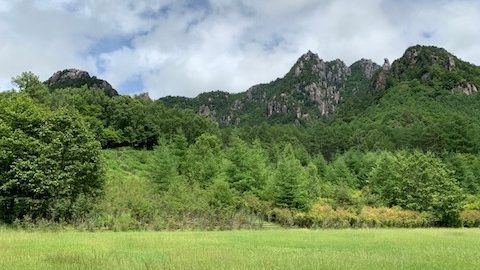 野草の見分け方から採り方まで。野草ワークショップに参加しよう！