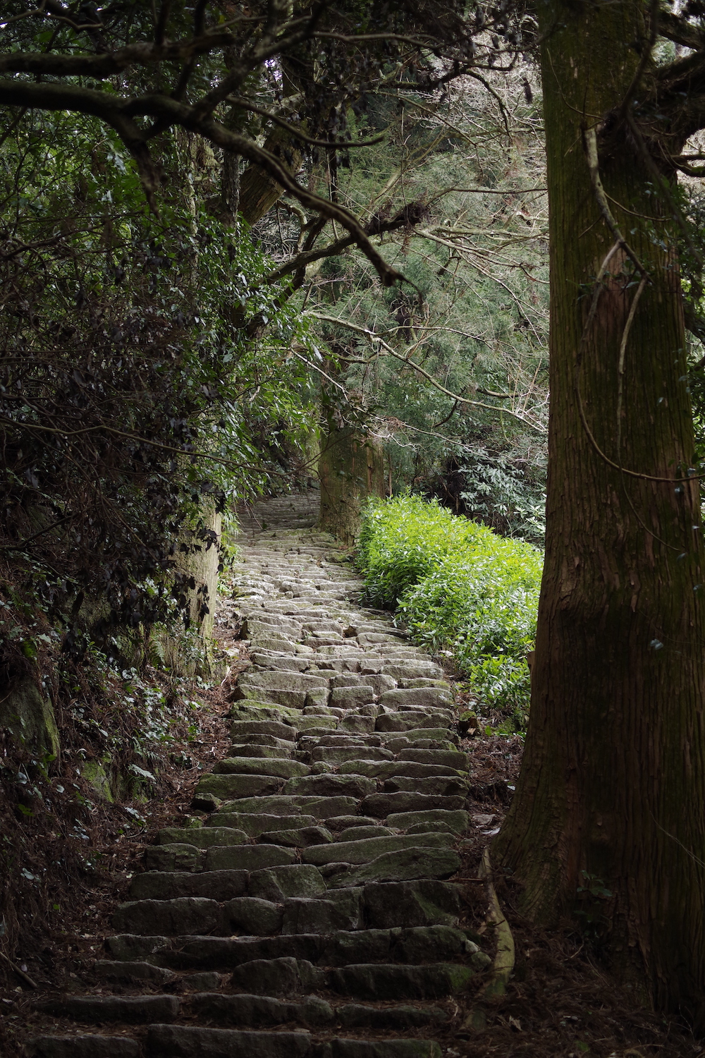 山口 登 宝 満山