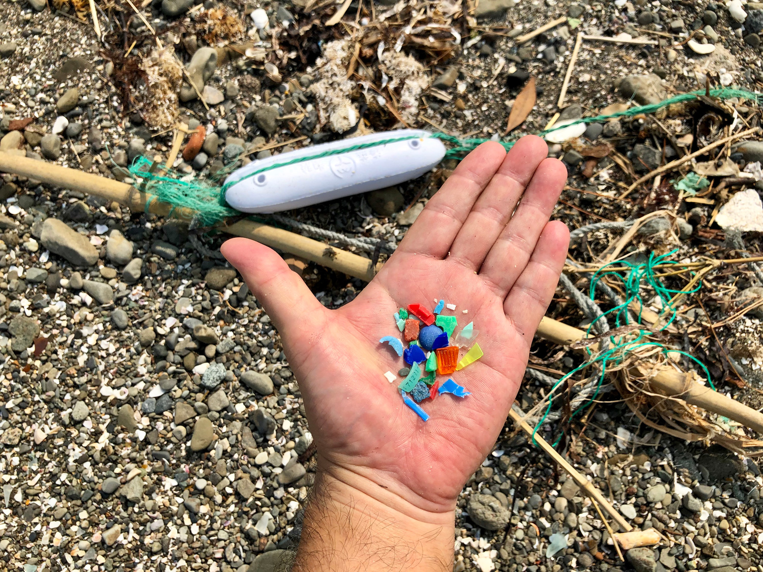 プラスチックが海を殺す 近い将来 海中のプラごみが魚の量を超える Be Pal