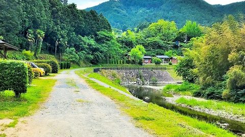 ファミリーにもソロキャンにも最適！川遊びが魅力の和歌山「細野渓流キャンプ場」