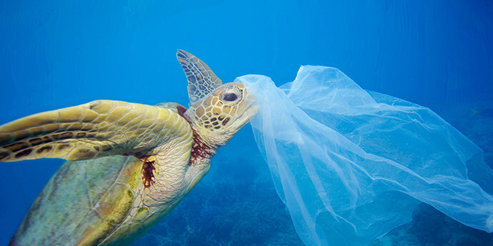 プラスチックが海を殺す 近い将来 海中のプラごみが魚の量を超える Be Pal