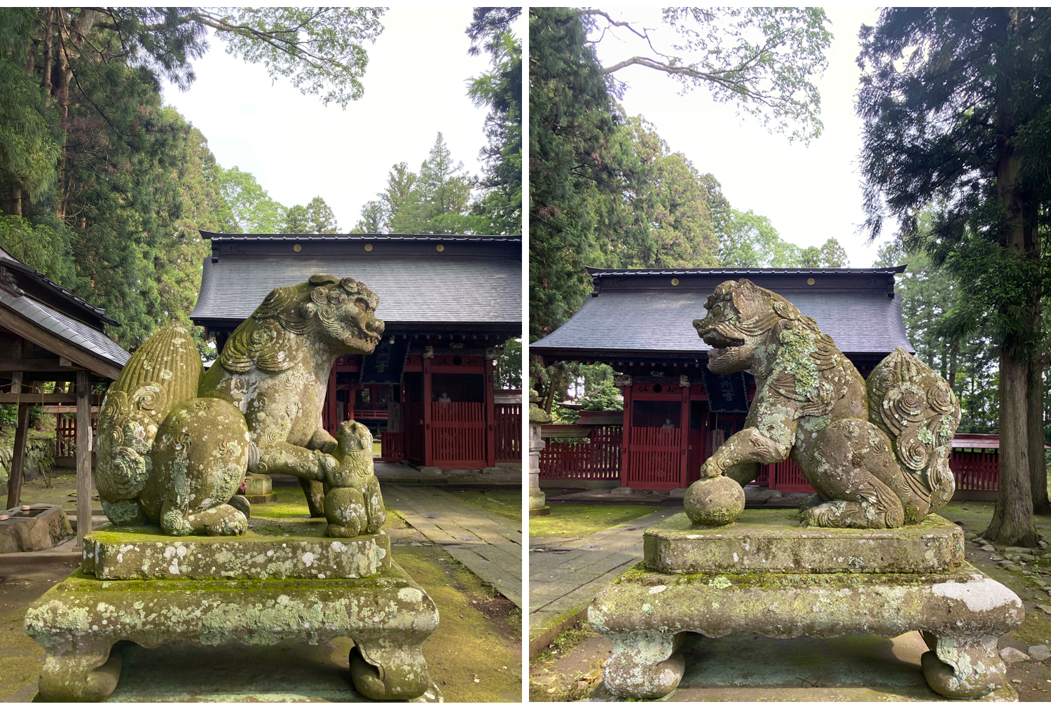 「八槻都々古別（やつき つつこわけ）神社」の狛犬