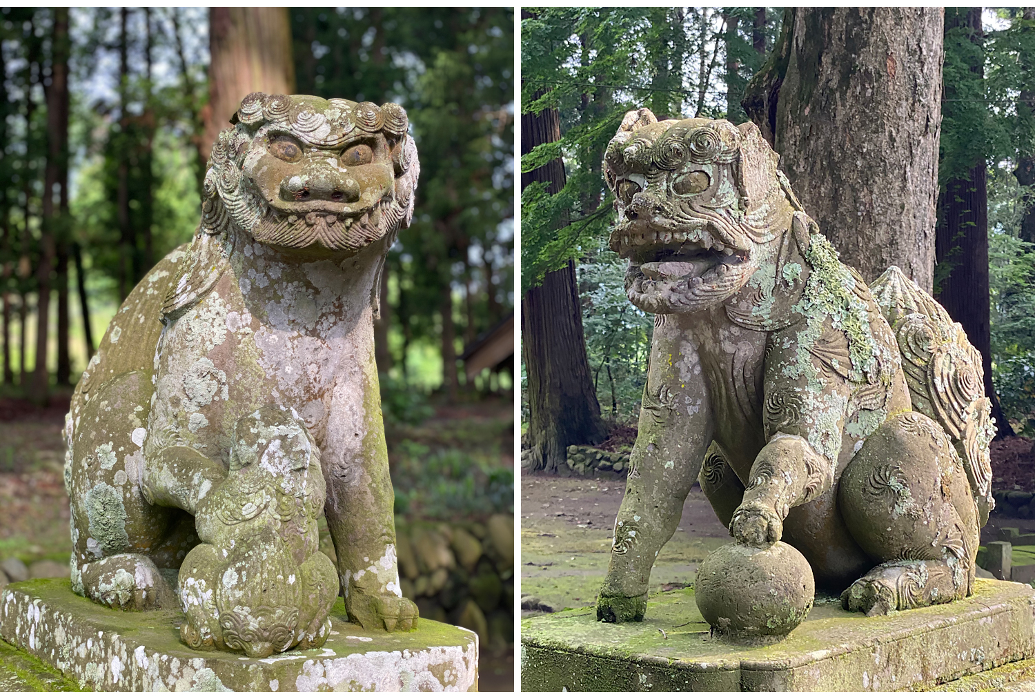 八槻都々古別神社の狛犬