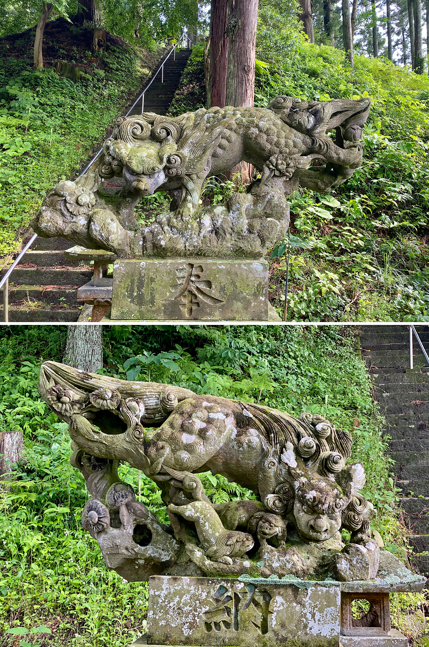 熊野神社の狛犬