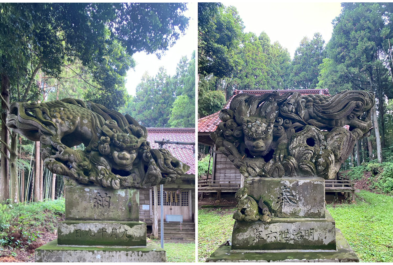 村社鹿島神社の狛犬