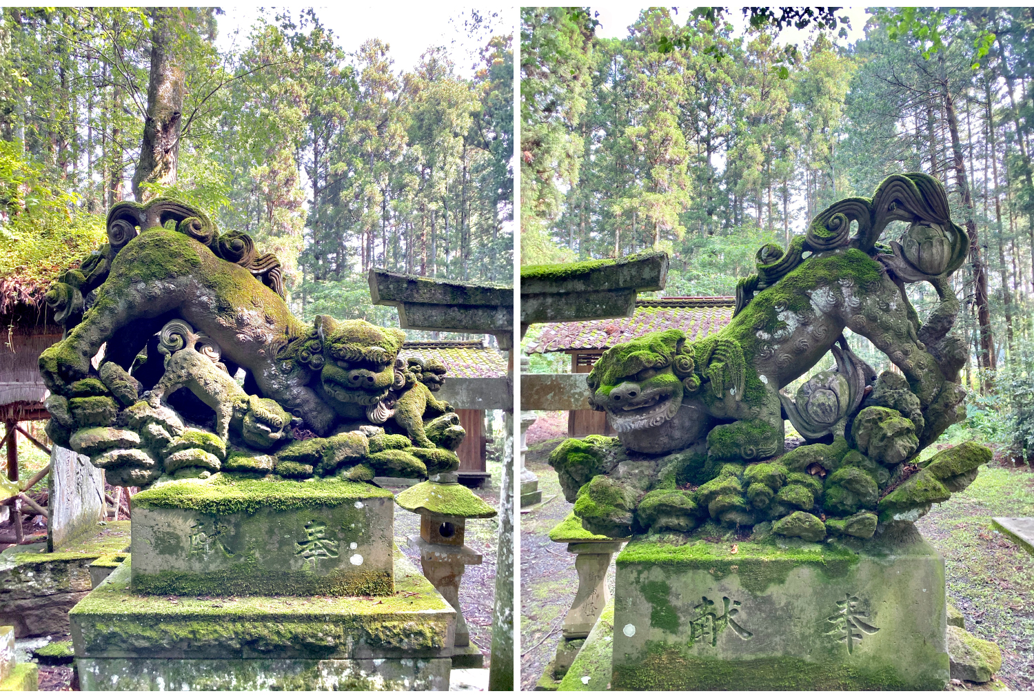 一色鐘鋳神社の狛犬