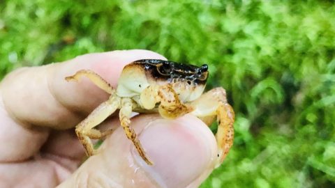 雨上がりの山道にて［読者投稿記事］
