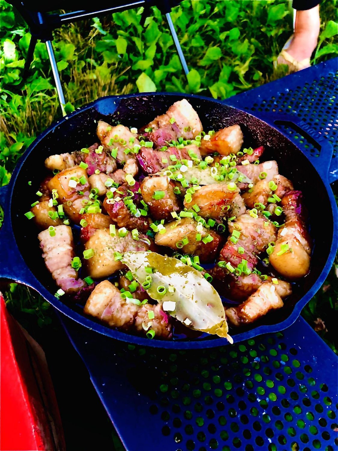 豚肉のカシスウーロン煮！［読者投稿記事］