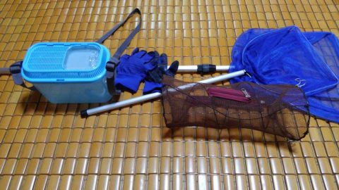 夏の川遊びには…［読者投稿記事］