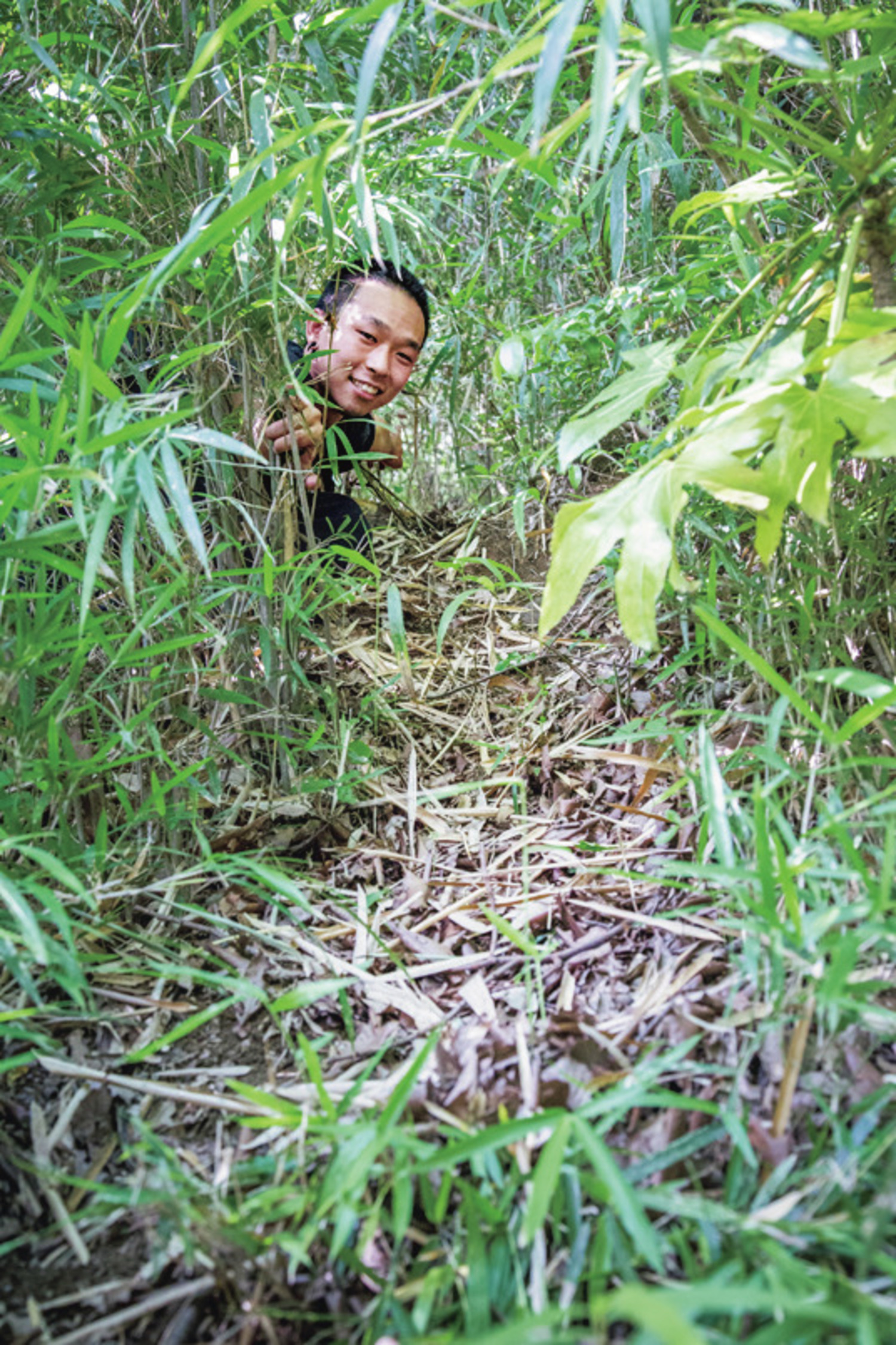 トレイルカメラ でご近所の野生動物を撮る 自然観察 Be Pal キャンプ アウトドア 自然派生活の情報源ビーパル