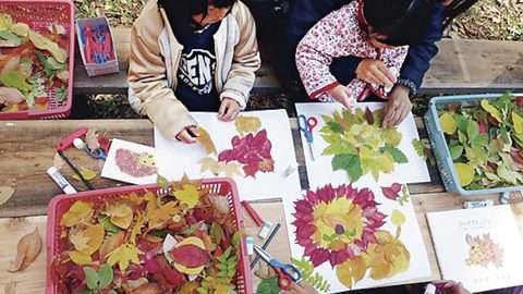 【身近な自然遊び】葉っぱを集めて生き物を描いてみよう