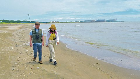 街中でネイチャー散策！都会で生き物探しをしてみよう