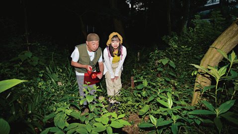 都会でも見られる！夜の生き物観察に出かけてみよう