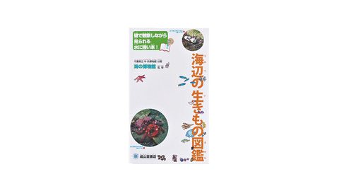 自然に詳しいライターが推薦！魚・昆虫・植物・生物のおすすめ図鑑５選