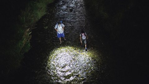 親子で冒険！？身近な自然でできる「夜の野遊び」３つの楽しみ方