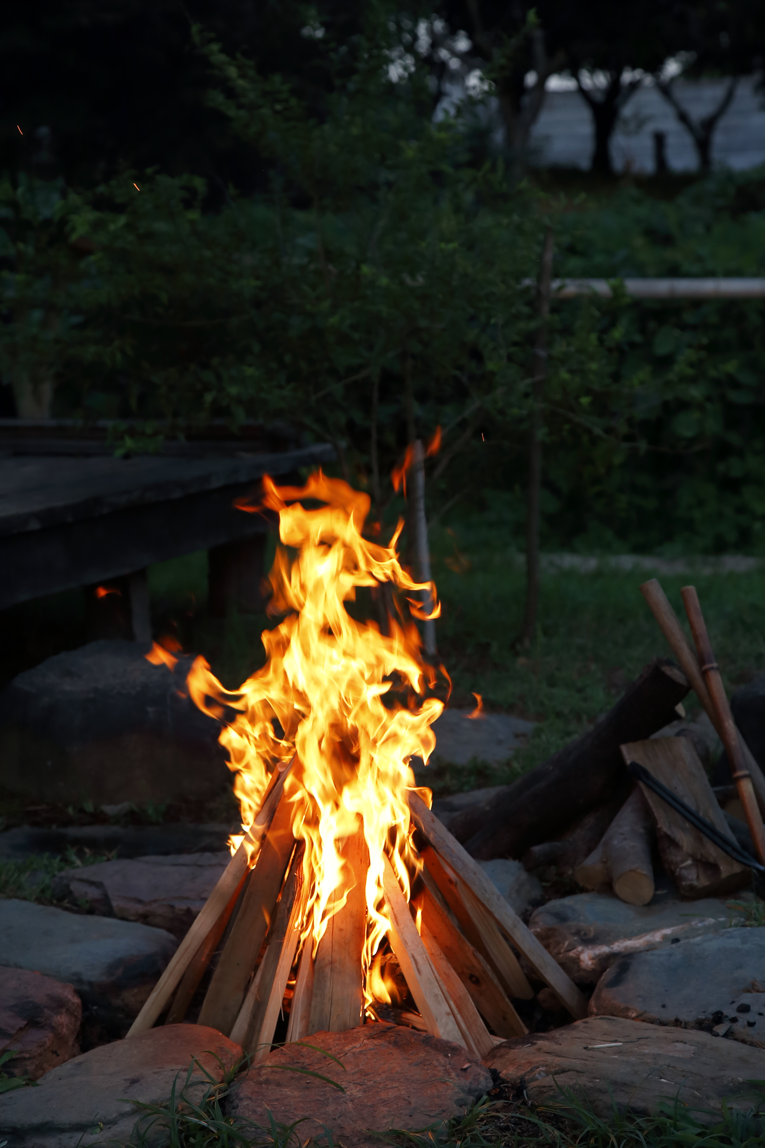 キャンプ 焚き火 焚き付け 薪