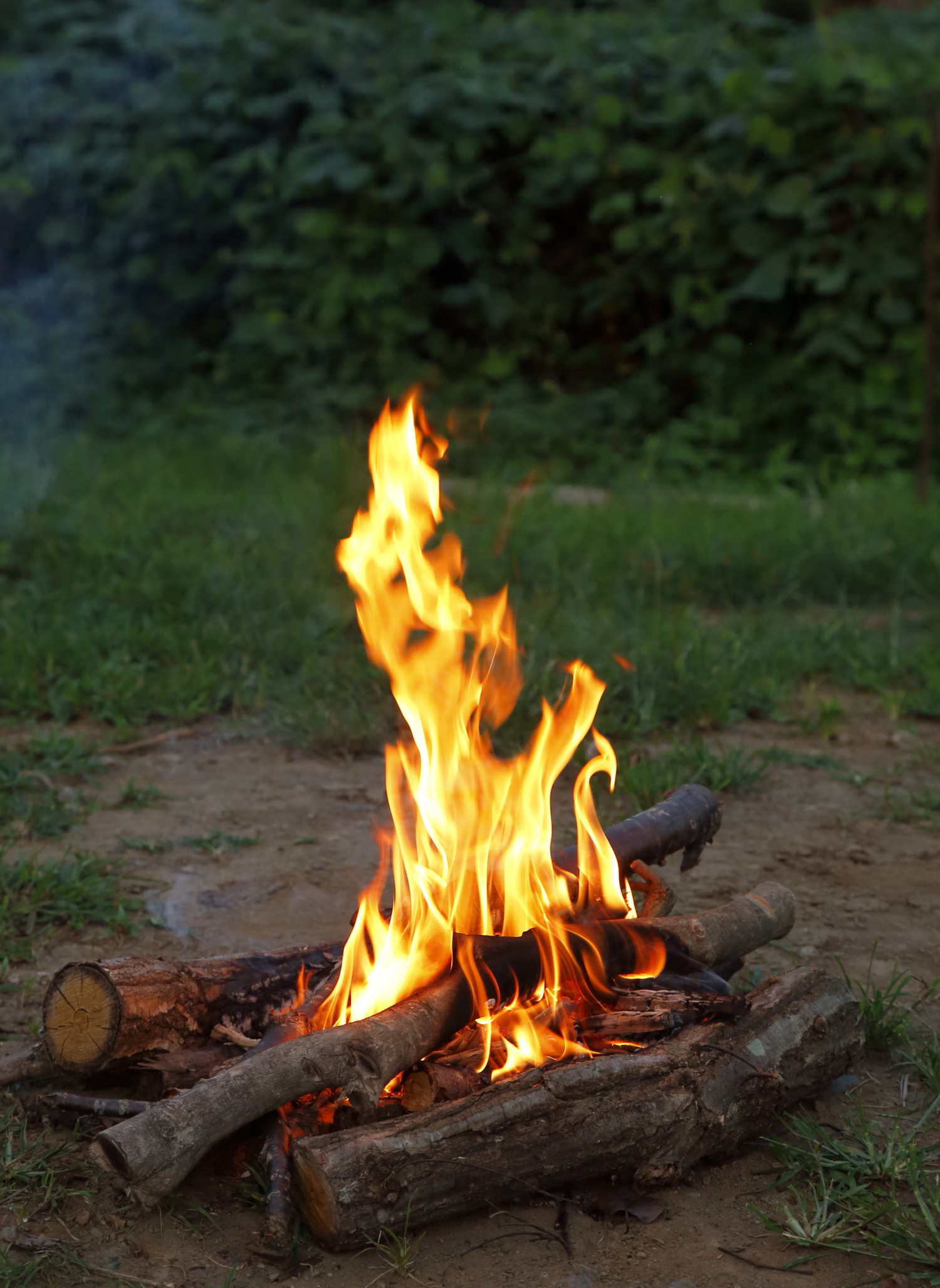 薪の組み方から火起こし 料理まで 簡単な焚き火のやり方とは 焚き火のコツ Be Pal キャンプ アウトドア 自然派生活の情報源ビーパル