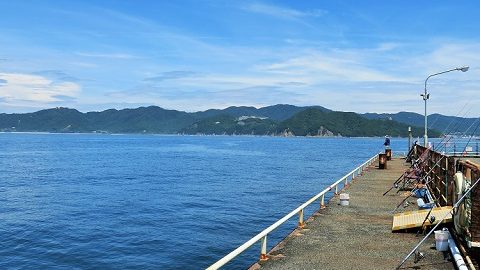 目指せ「刺身」サイズ！釣り初心者が巨大浮島で青物釣りしてみた