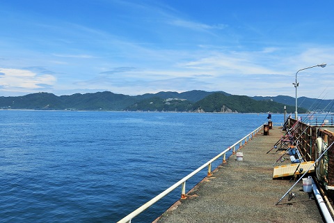 【期間限定特価】 目指せ「刺身」サイズ！釣り初心者が巨大浮島で青物釣りしてみた 趣味+スポーツ+実用