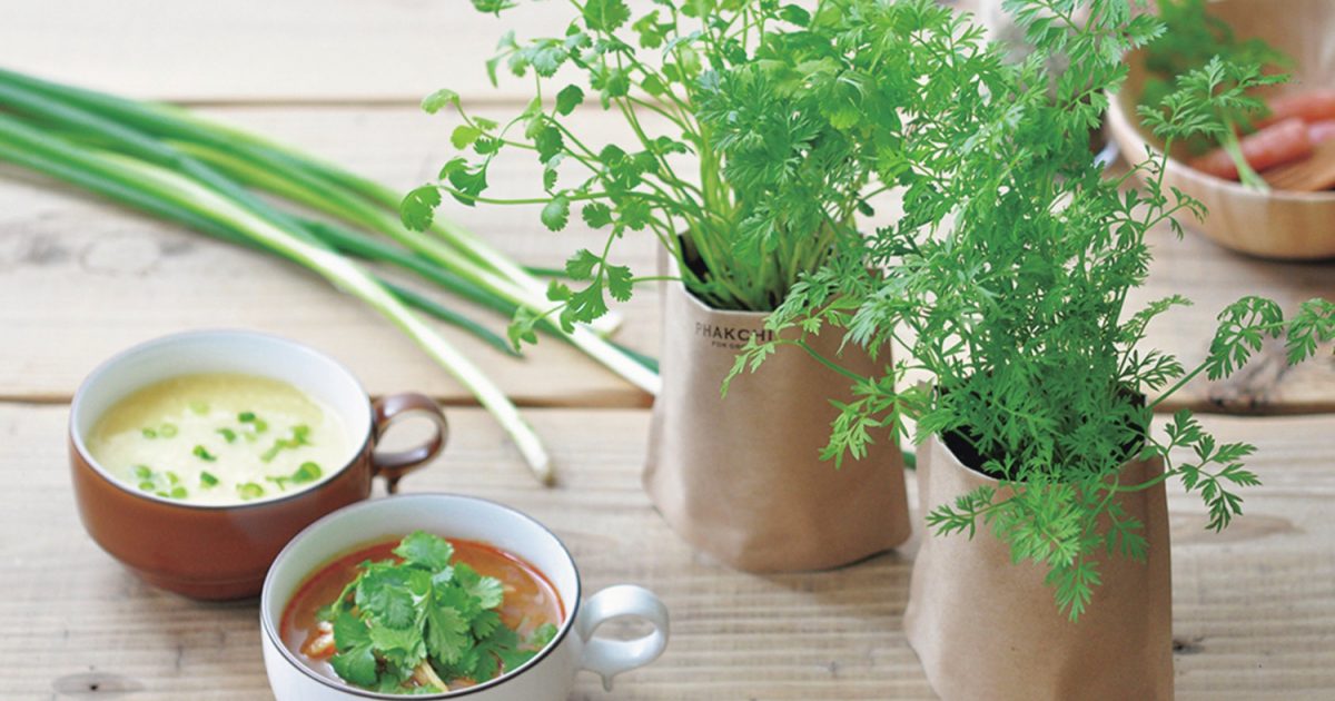 今大人気 自宅で手間いらずの野菜 キノコの お手軽栽培キット Be Pal