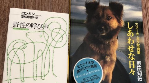 自然の中で生きる犬の物語 『野性の呼び声』からガク写真集の話［読者投稿記事］