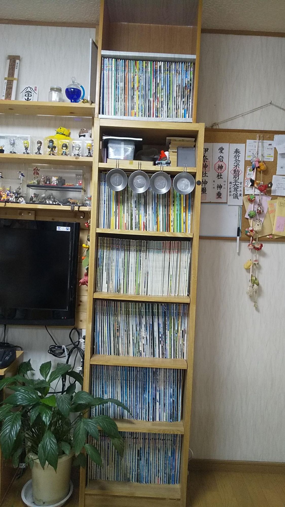 私のコレクション［読者投稿記事］