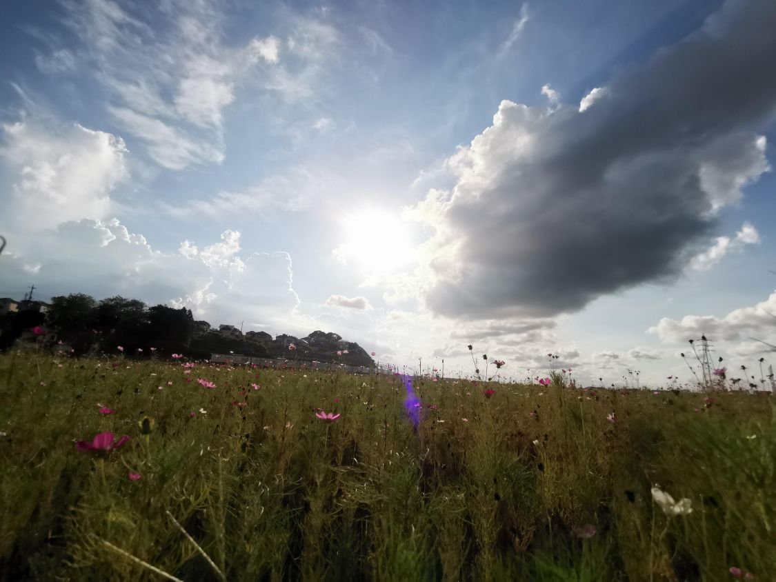 季節は夏から秋に［読者投稿記事］