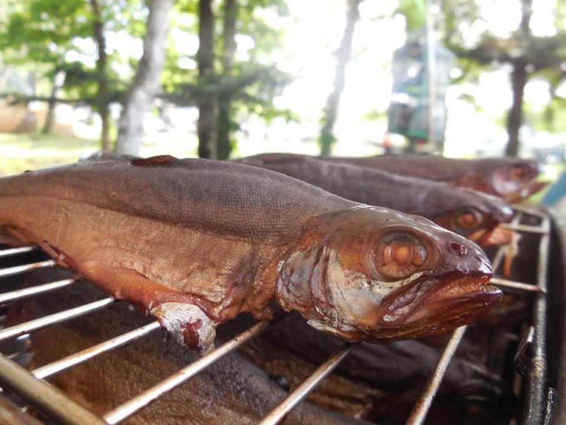 釣りすぎた魚は燻製に！［読者投稿記事］