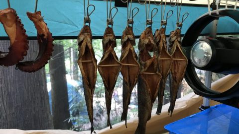 ニジマスの燻製［読者投稿記事］