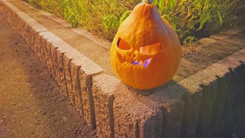 ハロウィンにキャンプサイトで飾ろう！「ジャックオランタン」&かぼちゃスープの作り方