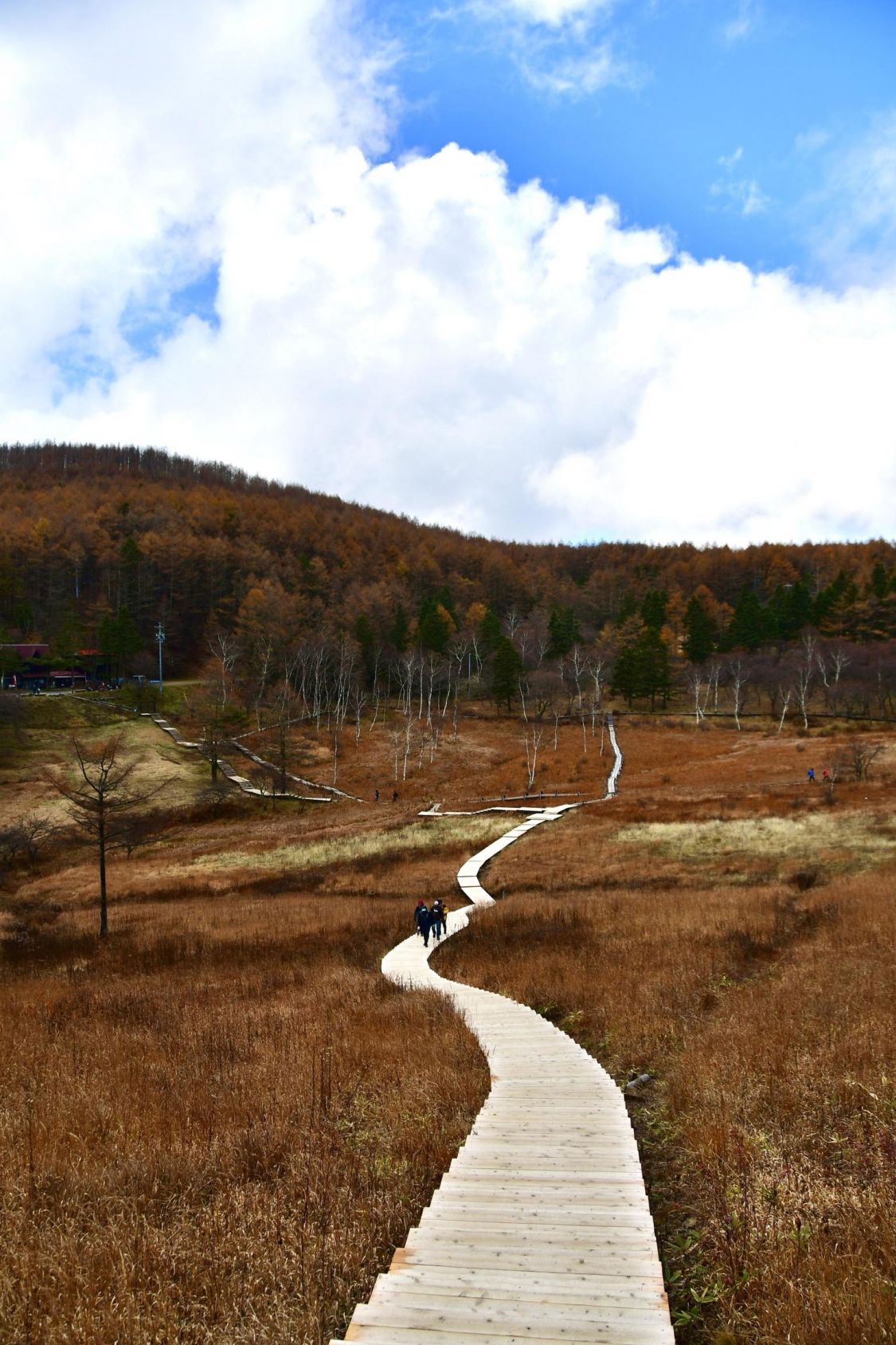 『心打つ 絶景目に入る 気力湧く』入笠山登山後に、絶景に救われる［読者投稿記事］