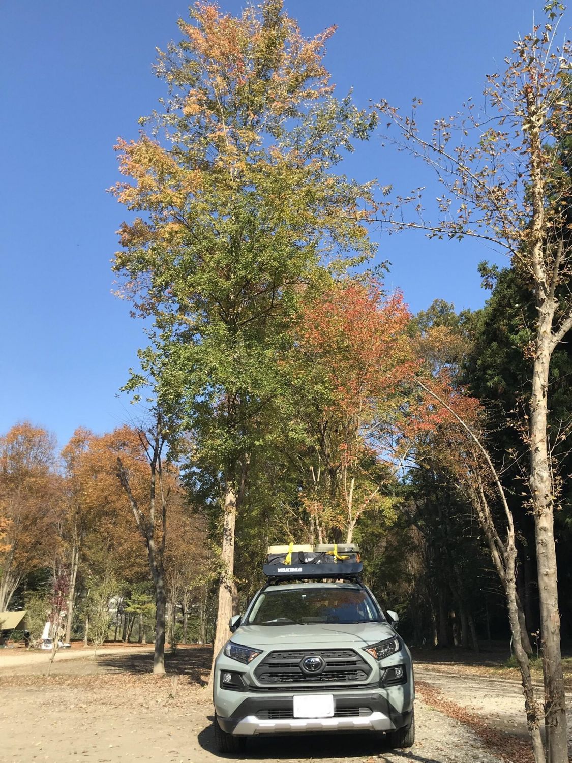 キャンプと車と秋の空［読者投稿記事］