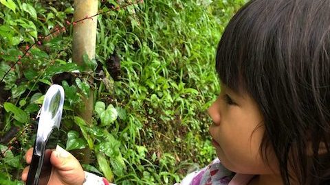 野草をルーペで観察！アウトドアで野草やキノコの夜ご飯を作ろう