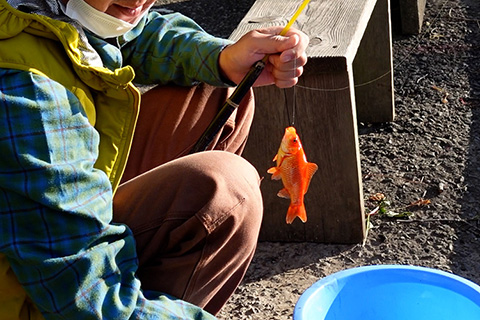 極太タイヤの自転車で埼玉県 彩湖 道満パーク の金魚釣りに行ってみた Be Pal 極太タイヤの自転車で埼玉県 彩湖 道満パーク の金魚釣りに行ってみた Be Pal