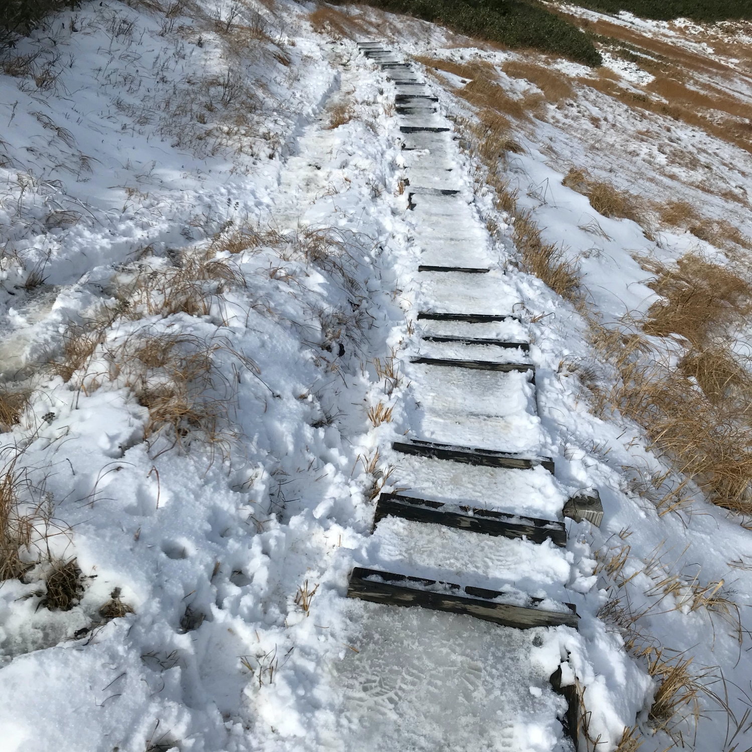 巻機山の雪道