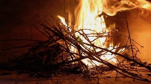 薪を上手に効率よく燃やすコツ、着火材に適している生ゴミはどれ!?