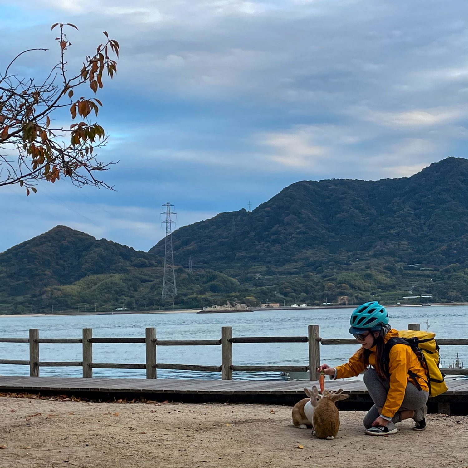 大 久野 島