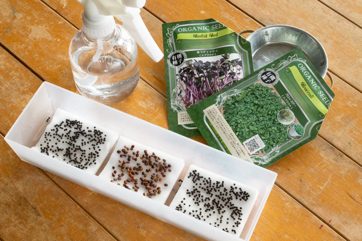 冬の健康維持に 天然のサプリメント スプラウト 2種類の栽培方法と食べ方を紹介 Be Pal