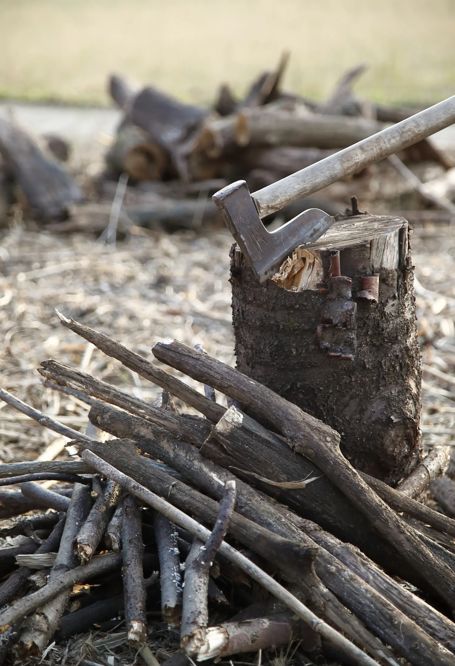 焚き火が禁止されている場所とは Be Pal
