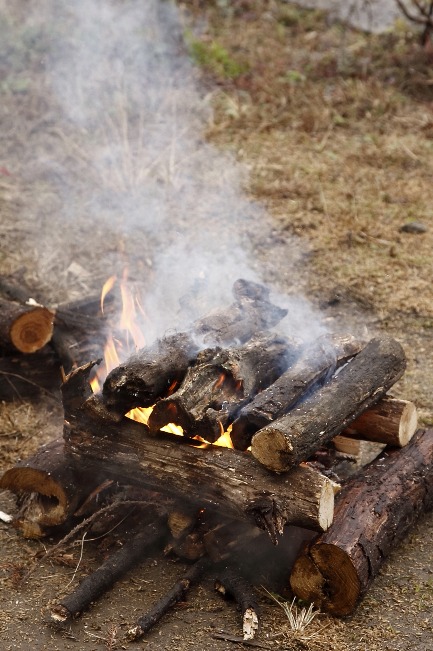 雨のキャンプで焚き火をする方法とは 焚き火のコツ Be Pal キャンプ アウトドア 自然派生活の情報源ビーパル